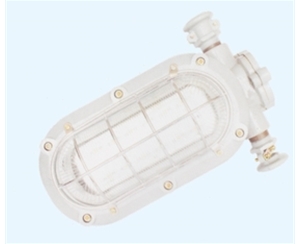 泰安矿用隔爆型LED支架灯